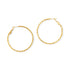 WATER RESISTANT HOOP EARRINGS