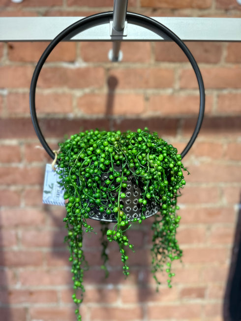 SPRING BLOOMS- BLUMERIE