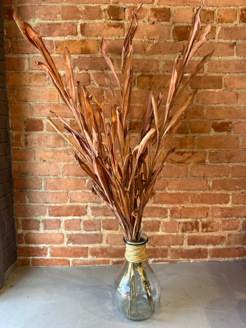 LUXE FALL 2024 BLUMERIE