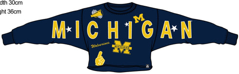 COLLEGE GAMEDAY PATCHED CROPPED SWEATSHIRT