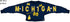 COLLEGE GAMEDAY PATCHED CROPPED SWEATSHIRT